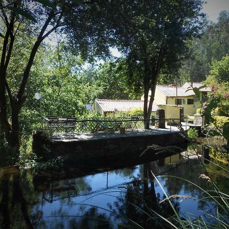 Watermill Moinho Garcia Vandrarhem Pinheiro da Bemposta Exteriör bild