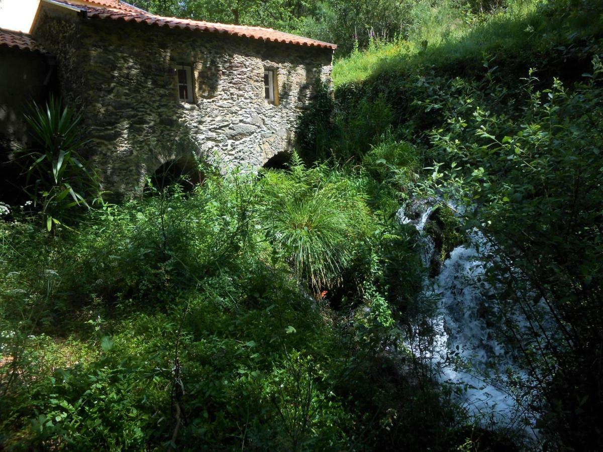 Watermill Moinho Garcia Vandrarhem Pinheiro da Bemposta Exteriör bild