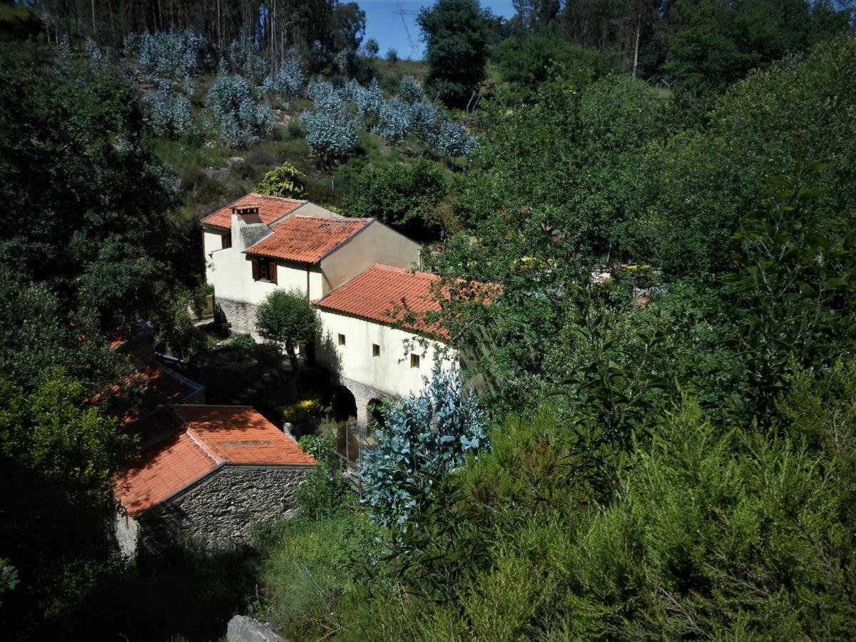 Watermill Moinho Garcia Vandrarhem Pinheiro da Bemposta Exteriör bild