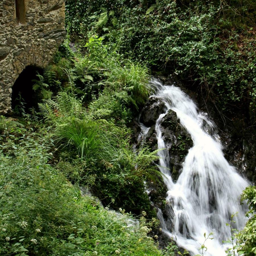 Watermill Moinho Garcia Vandrarhem Pinheiro da Bemposta Exteriör bild